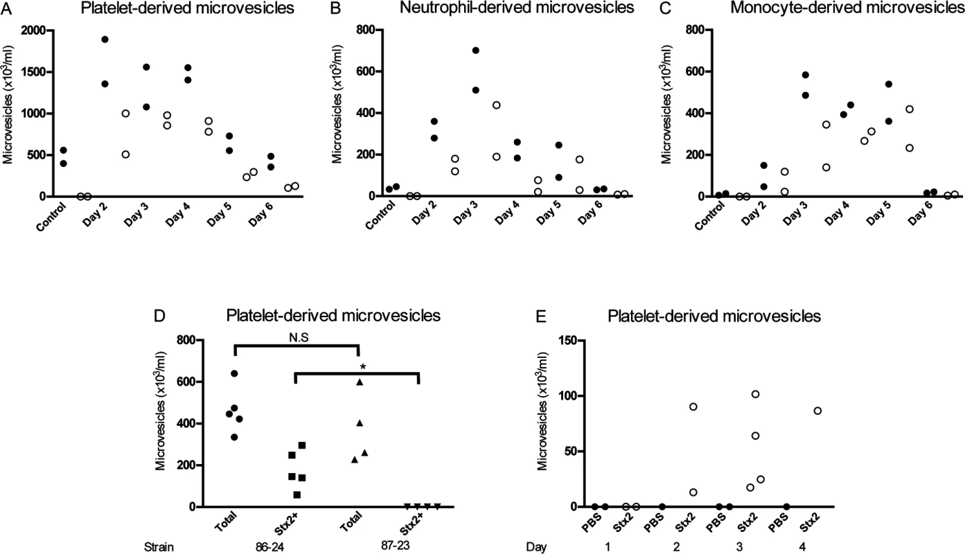 Stx2-containing blood cell-derived microvesicles were detected in the circulation of mice infected with <i>E. coli</i> O157:H7.