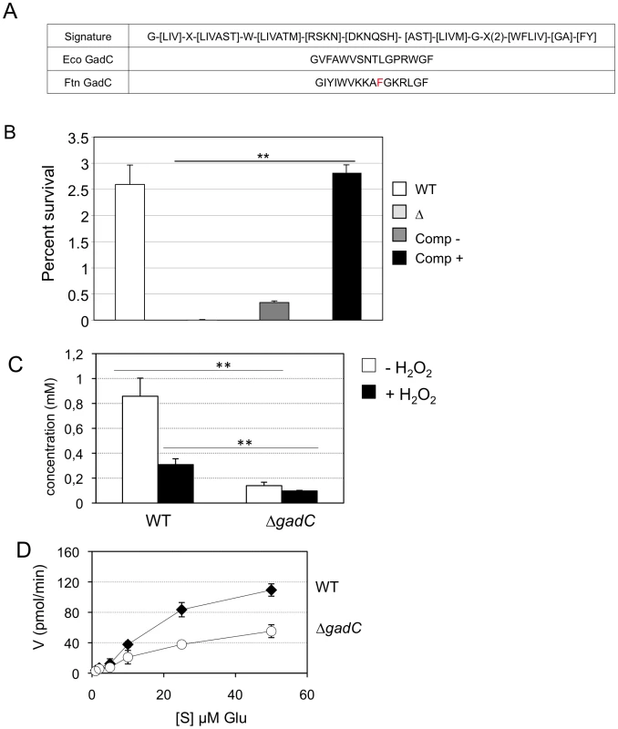GadC is a glutamic acid transporter.