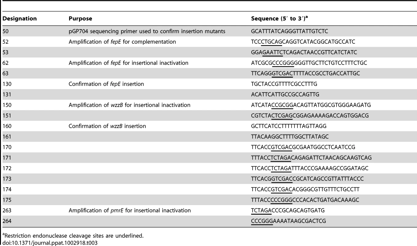 Oligonucleotide primers used in this study.