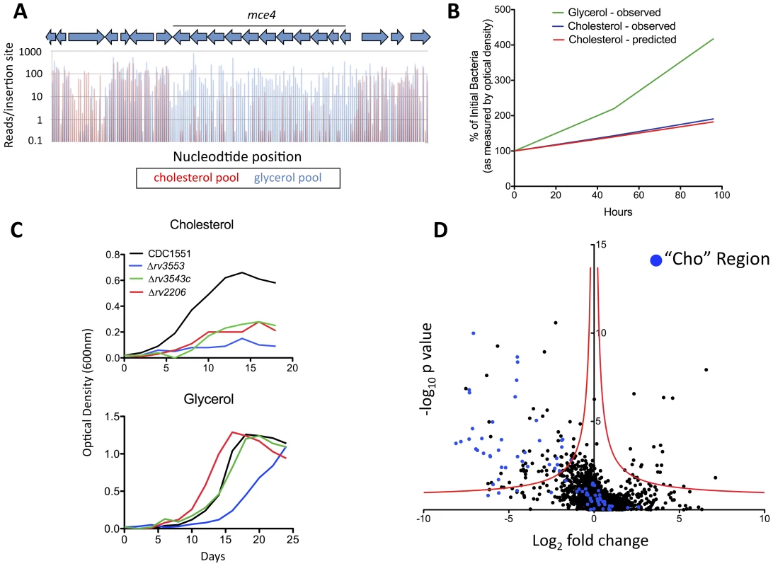 Genes required for growth on cholesterol.