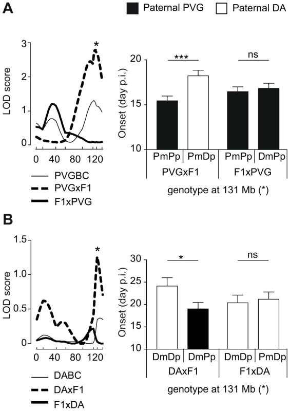 Paternal transmission of the disease-predisposing allele.