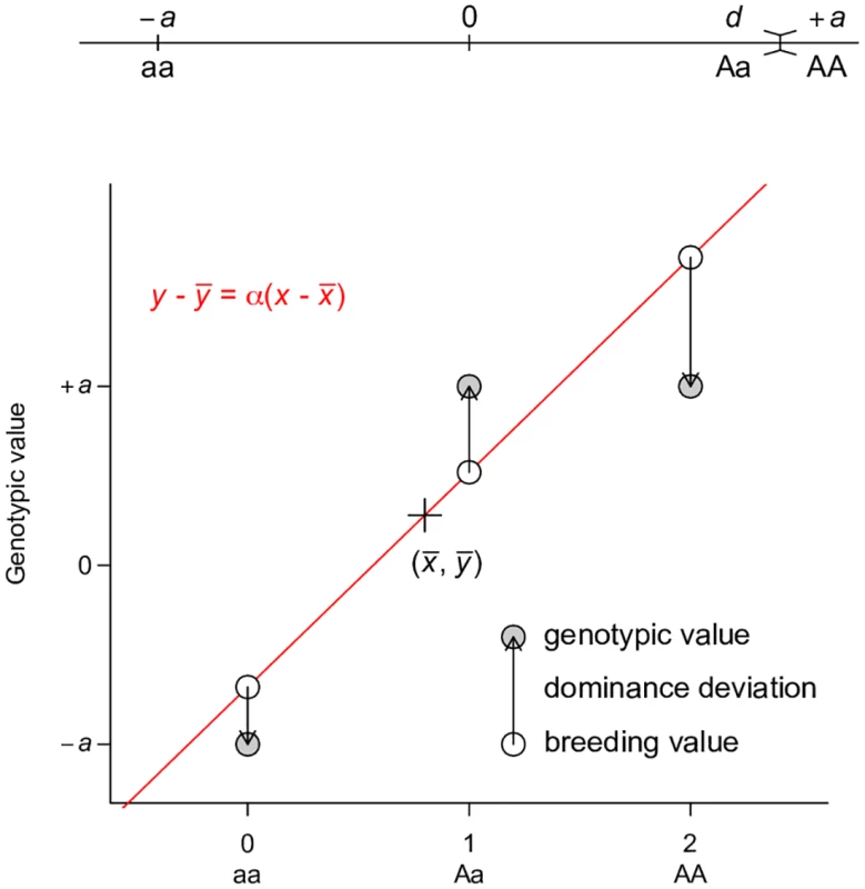 Least squares regression interpretation of <i>V</i><sub><i>A</i></sub>.