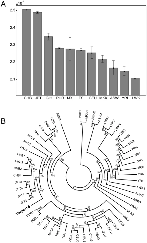 A) Number of variants shared between Tianjiao1 and CGI54 panel individuals. CGI54 panel individuals were grouped by populations, and the mean number of shared variants and standard deviation for each population are shown. Population code: CHB: Han Chinese; JPT: Japanese; GIH: Gujarati; PUR: Puerto Rican; MXL: Mexican-American; TSI: Tuscan; CEU: Utah residents (CEPH) with Northern and Western European ancestry; MKK: Maasai; ASW: African-American; YRI: Yoruba; LWK: Luhya. B) Neighbor-joining tree of Tianjiao1 and the CGI54 panel individuals. The bootstrap value for each branch is shown.