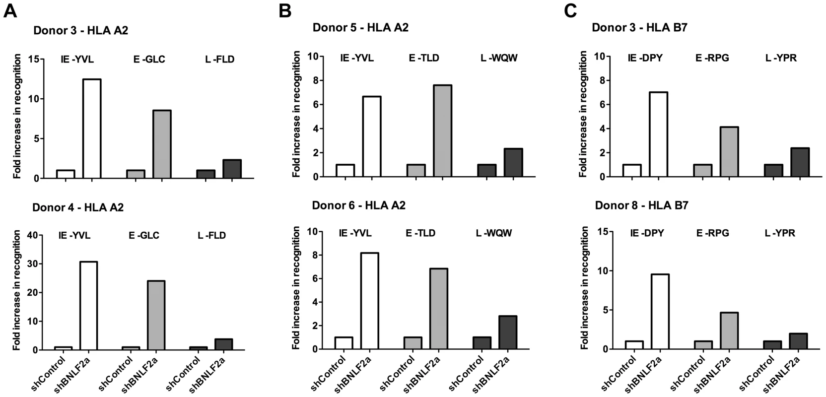 LCLs lacking in BNLF2a expression show increased presentation of epitopes derived from immediate early and early lytic antigens.