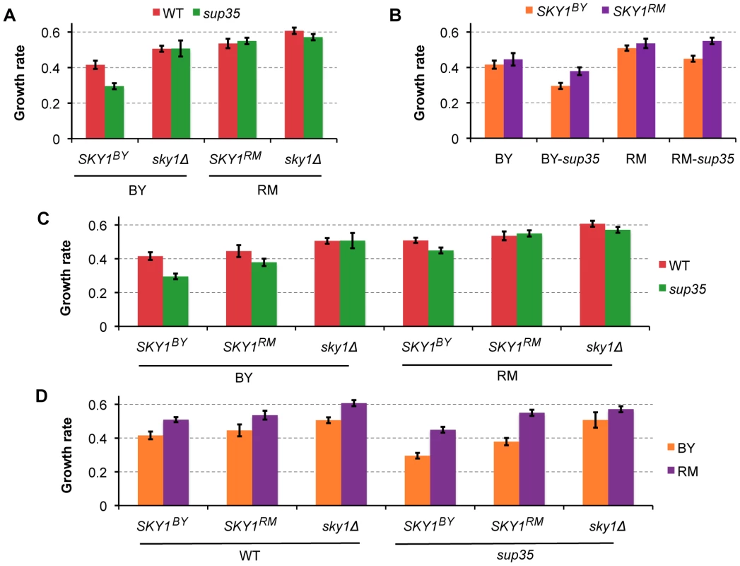 <i>SKY1</i> variation contributes to readthrough-dependent differences in growth rates of BY and RM on diamide.