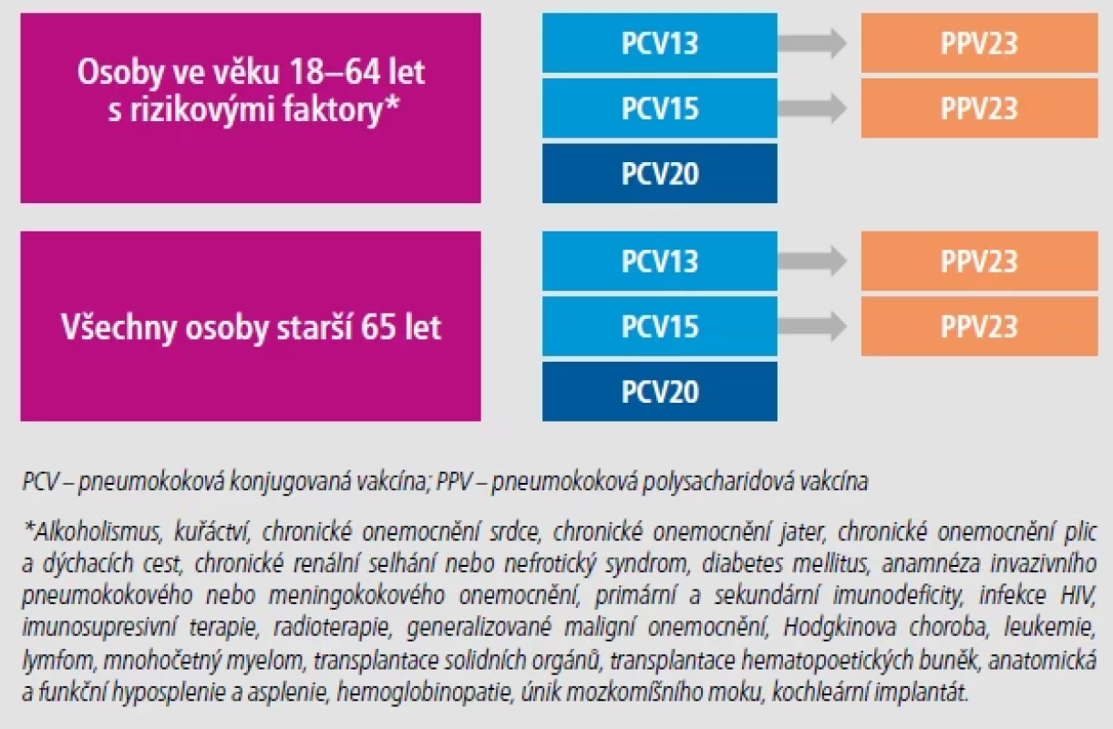 Doporučení České vakcinologické společnosti ČLS JEP (2022) – schéma.