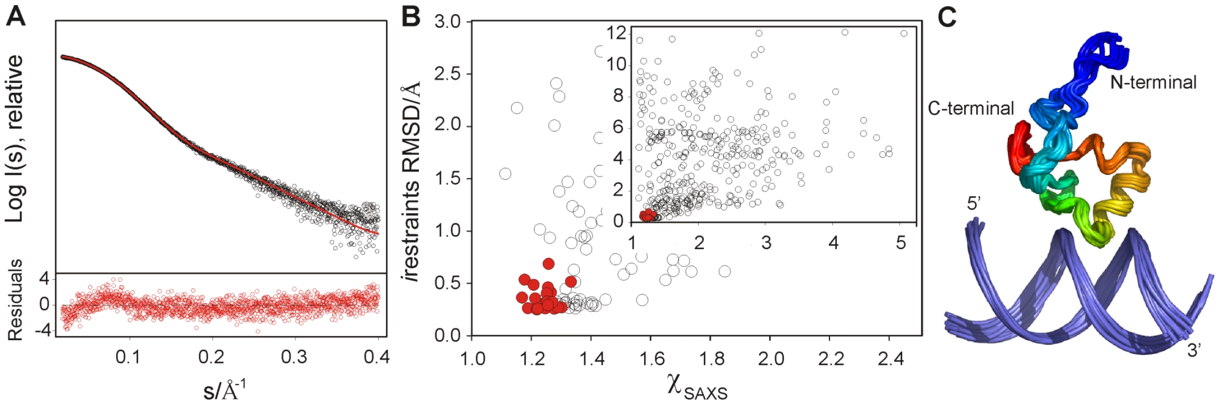 Structure determination of the CT-Ler/LeeH complex based on NMR and SAXS.