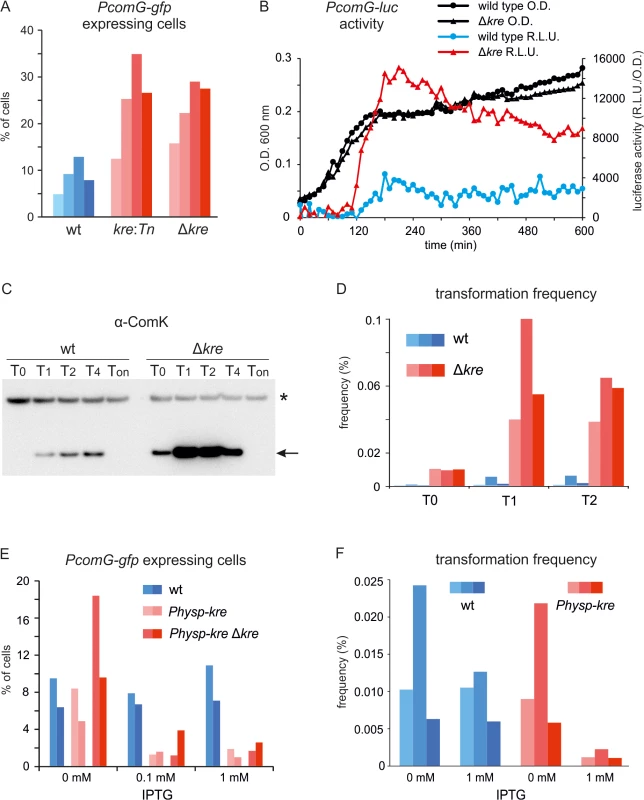 Altered levels of Kre affect competence development in wild-type strains.