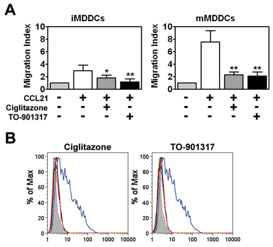 PPARγ and LXR ligand treatment prevents MDDC migration in response to CCL21.