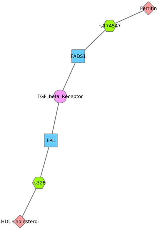 Using PheWAS results, Biofilter, and Cytoscape to explore gene-gene connections with NetPath.