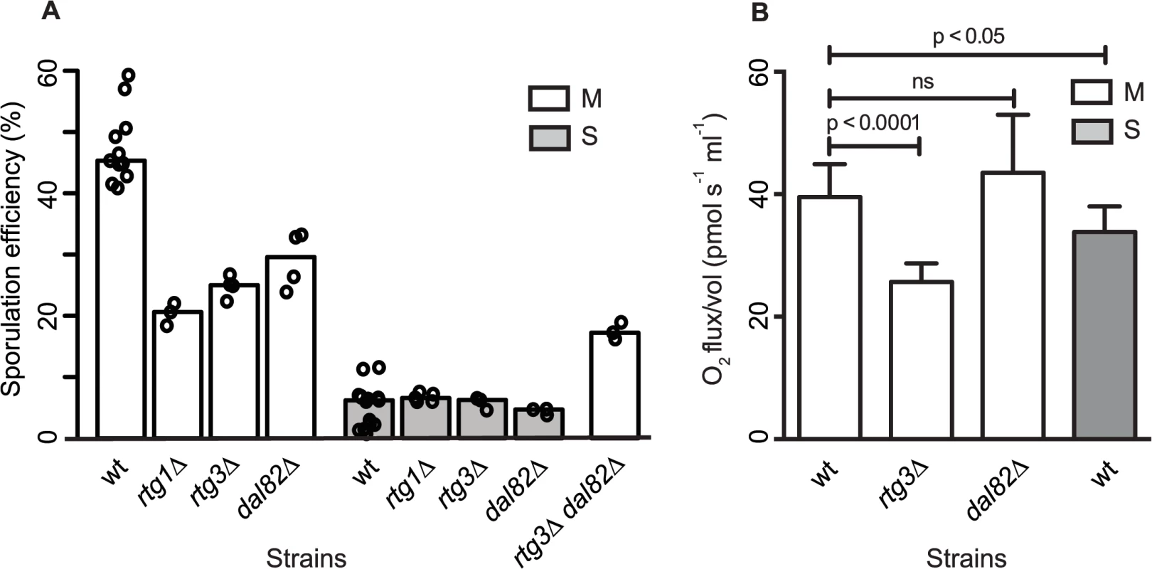 Retrograde signaling and nitrogen starvation regulators mediate the sporulation efficiency variation in <i>MKT1(89G)</i>-dependent manner.