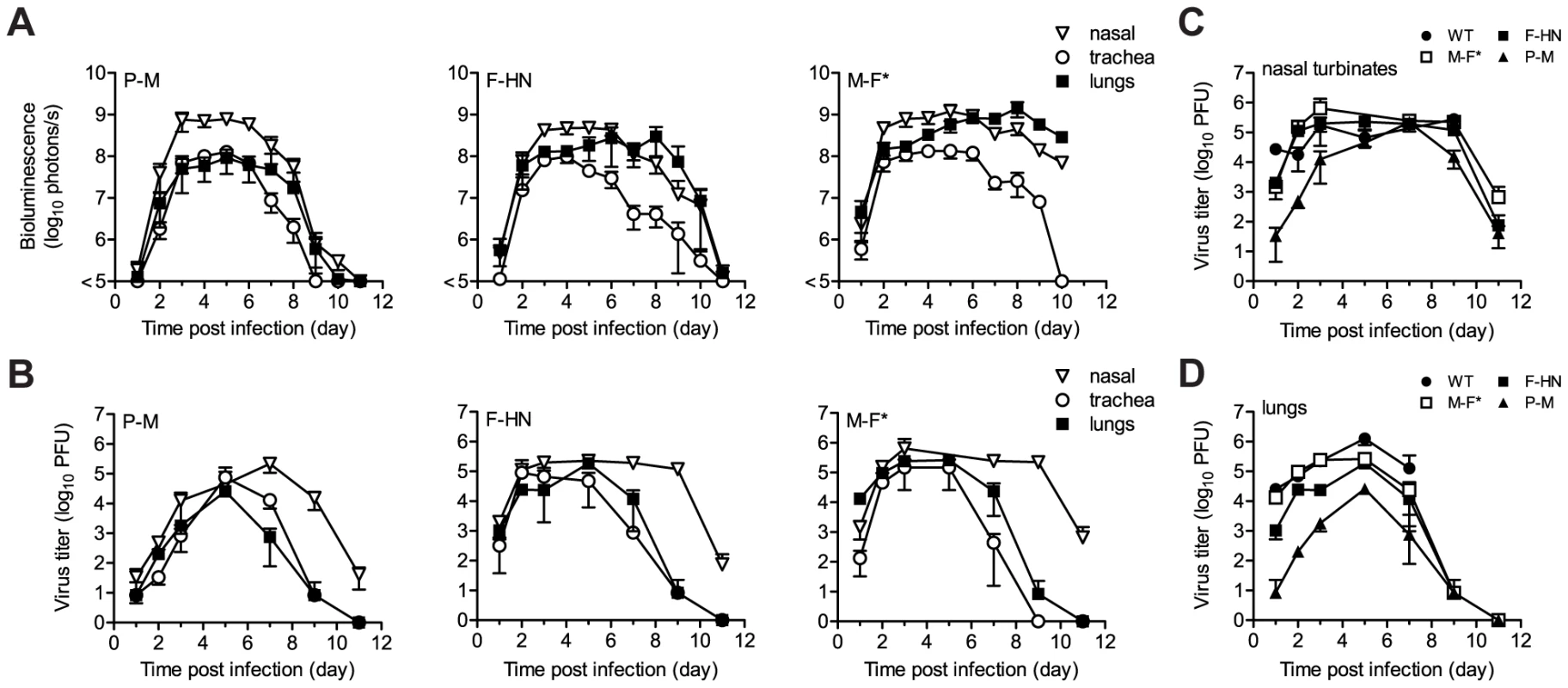 Kinetics of Sendai virus spread and clearance in the respiratory tracts of 129/SvJ mice.