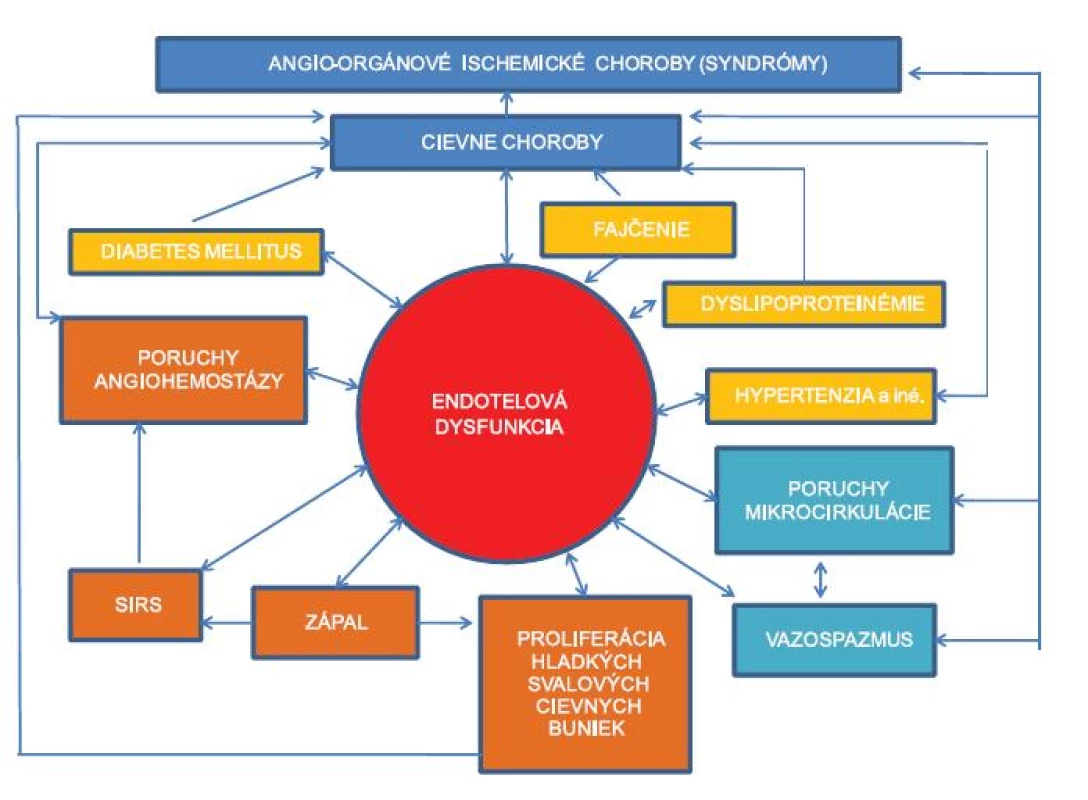 Dynsfunkcia endotelu a zložité vzájomné vzťahy s rizikovými vaskulárnymi faktormi a ďalšími patologickými poruchami v patogenéze arteriových cievnych chorôb
