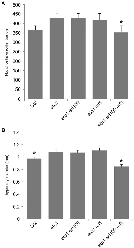 <i>ERF</i> genes are required for the <i>eto1</i> vascular phenotype.
