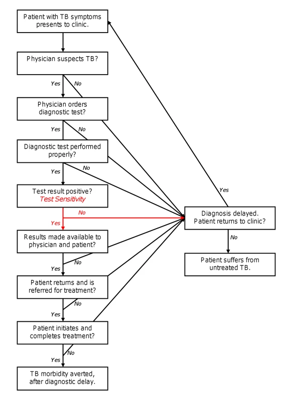 Process of TB diagnosis.