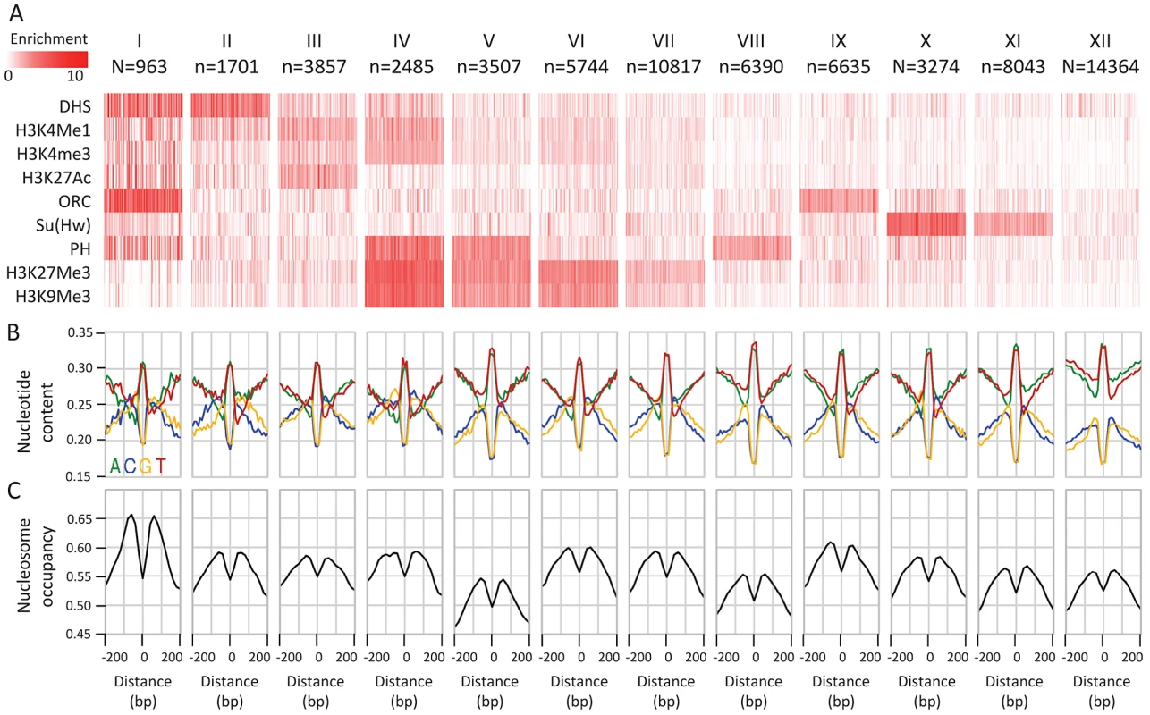 Epigenetic clustering of conserved elements.