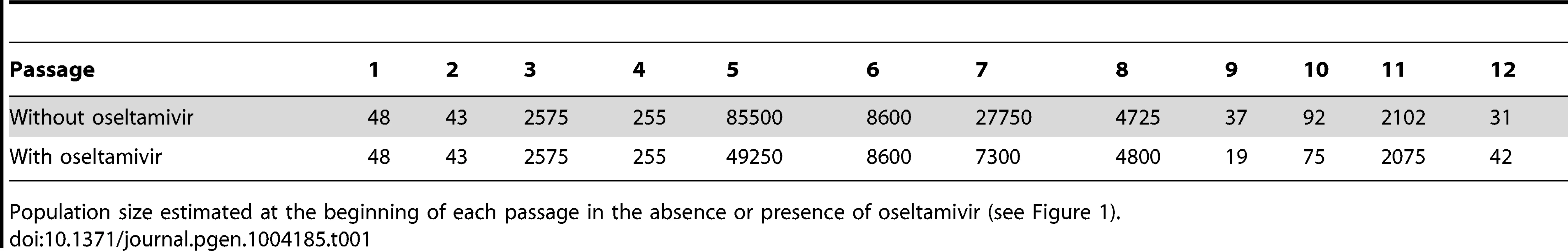 Bottleneck sizes at each passage.