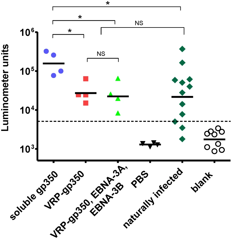 Detection of gp350 antibody by luciferase immunoprecipitation assay in rhesus monkeys immunized with soluble gp350, VRP-gp350, a combination of VRP-350, VRP-EBNA-3A, and VRP-EBNA-3B, or PBS before challenge with wild-type virus.