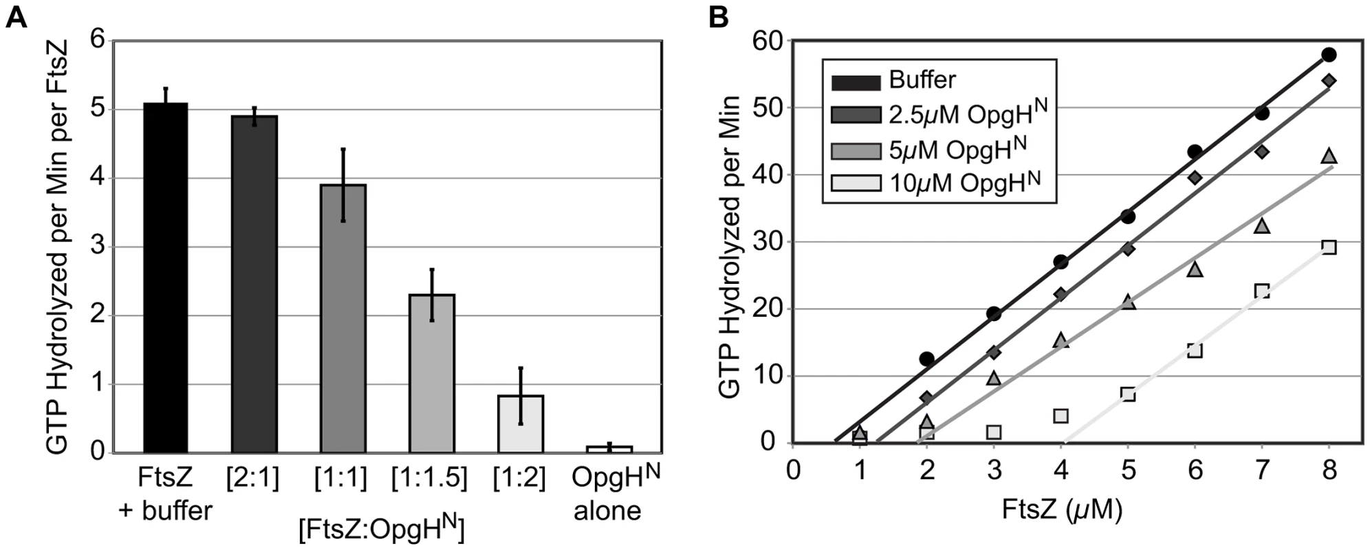 OpgH<sup>N</sup> appears to function as an FtsZ monomer sequestering protein.
