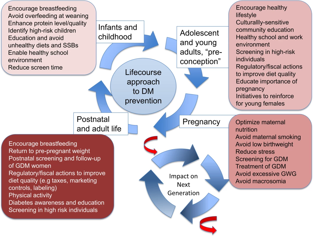 The intergenerational cycle of diabetes and obesity.