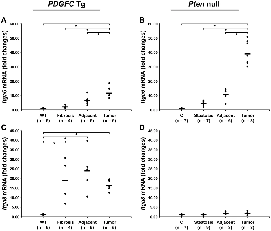 Expression of integrin α6 and α8 mRNAs upon disease progression in <i>PDGFC</i> Tg and <i>Pten</i> null liver.