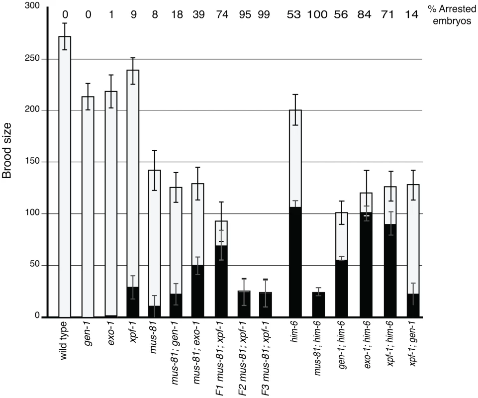 Brood analysis of <i>mus-81</i>, <i>him-6</i>, <i>xpf-1</i>, <i>exo-1</i>, <i>gen-1</i> and double mutants.
