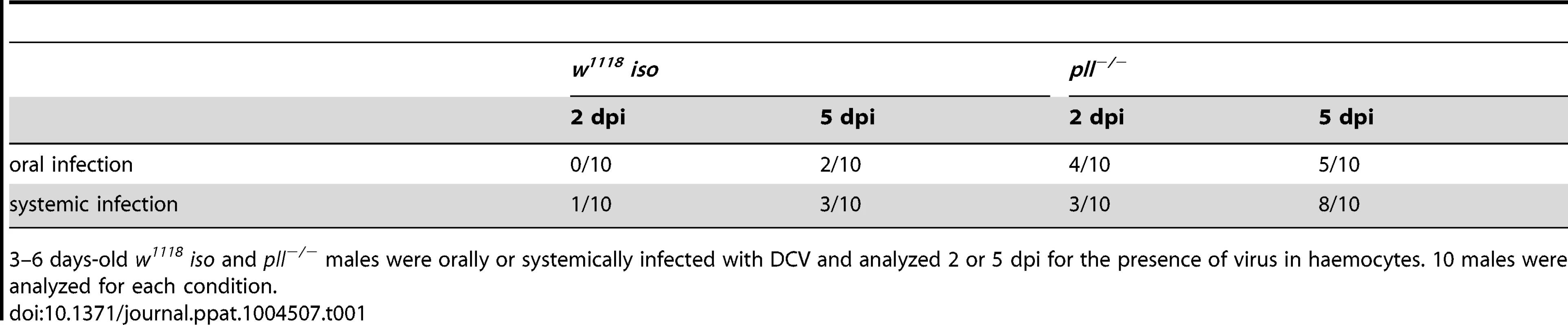 Presence of DCV in haemocytes of infected flies.