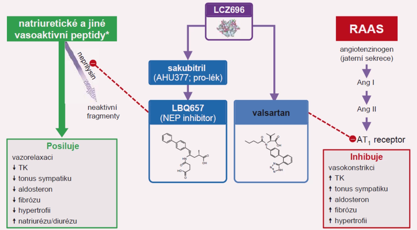 Sakubitril-valsartan (Entresto) inhibuje neprilysil (NEP) a současně blokuje AT<sub>1</sub> receptor.