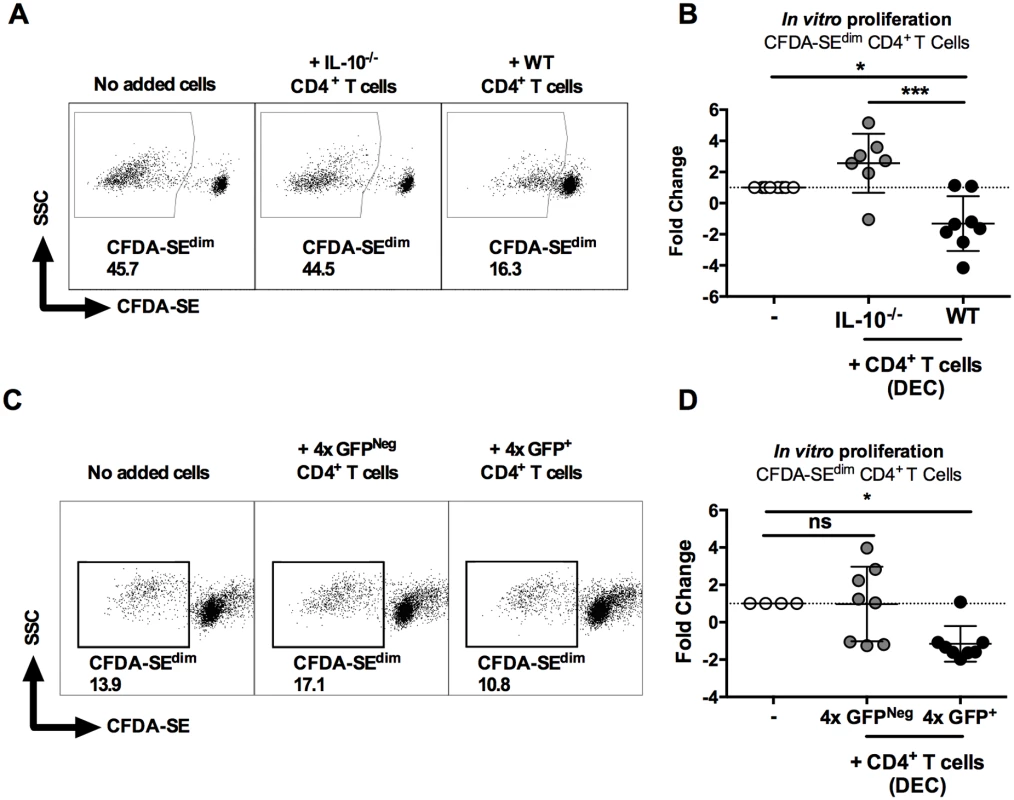 IL-10<sup>GFP+</sup>CD4<sup>+</sup> T cells from the skin of mice infected with <i>S</i>. <i>mansoni</i> suppress proliferation of CD4<sup>+</sup> T cells in the skin draining lymph nodes.