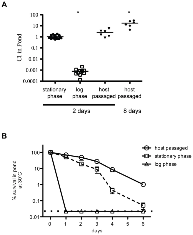 Growth-phase dependent survival of <i>V. cholerae</i> in pond water.