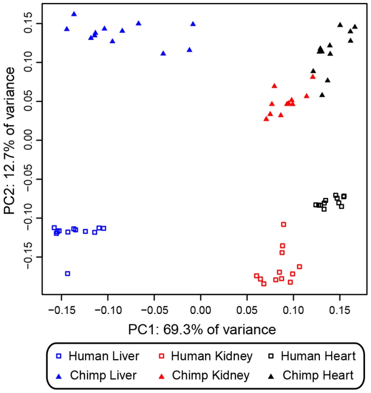 Principal components analysis of the methylation profiles.