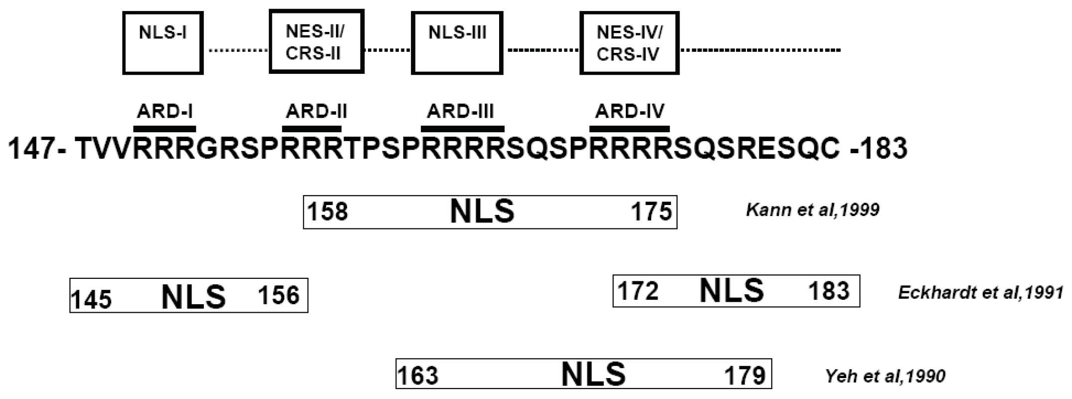 A summary of novel trafficking signals of HBc core protein and particles identified in this study vs. those reported previously <em class="ref">[23]</em>, <em class="ref">[24]</em>, <em class="ref">[25]</em>.