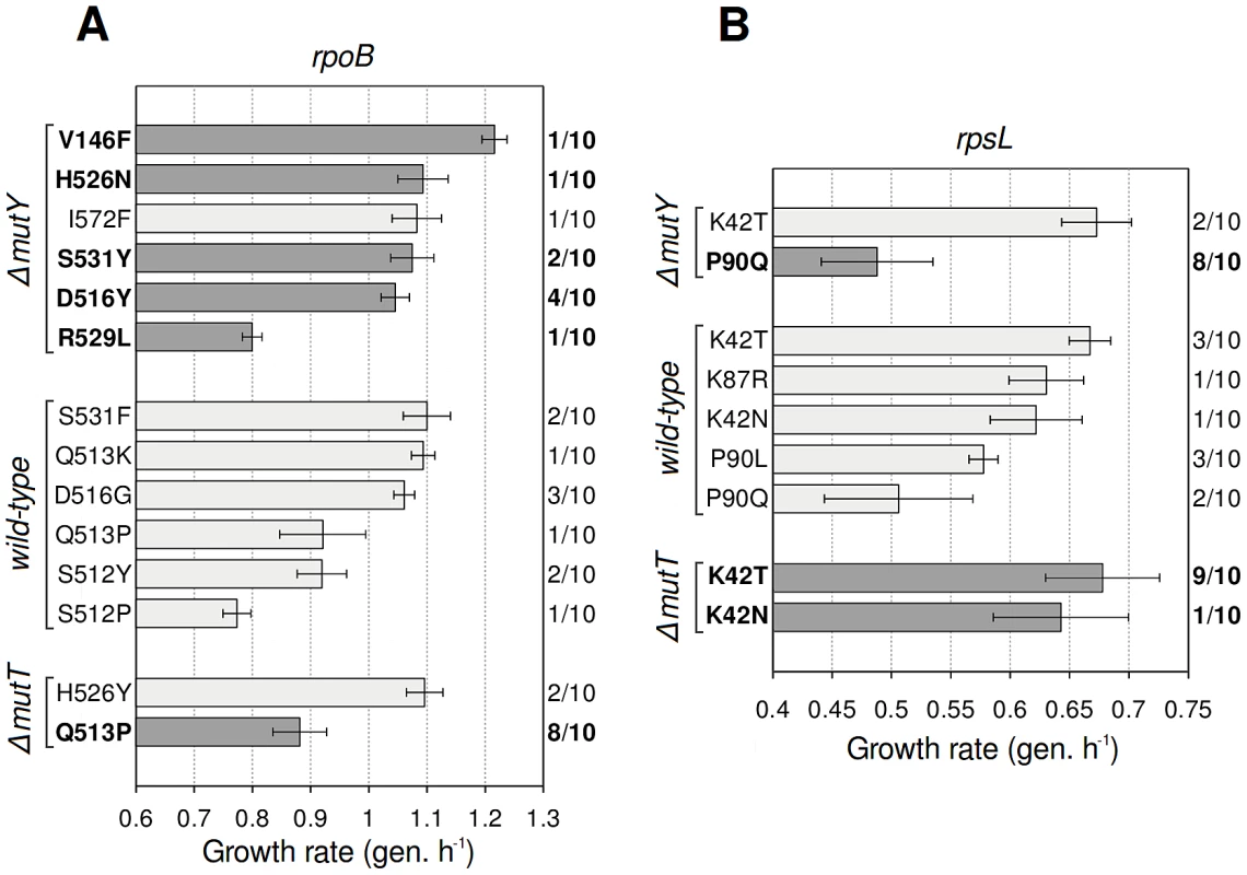Antibiotic resistance mutations generated by wild-type and mutator strains.