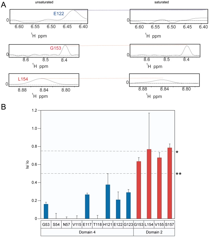 The receptor contact with PA domain 2 is weakened at pH 6.0. 
