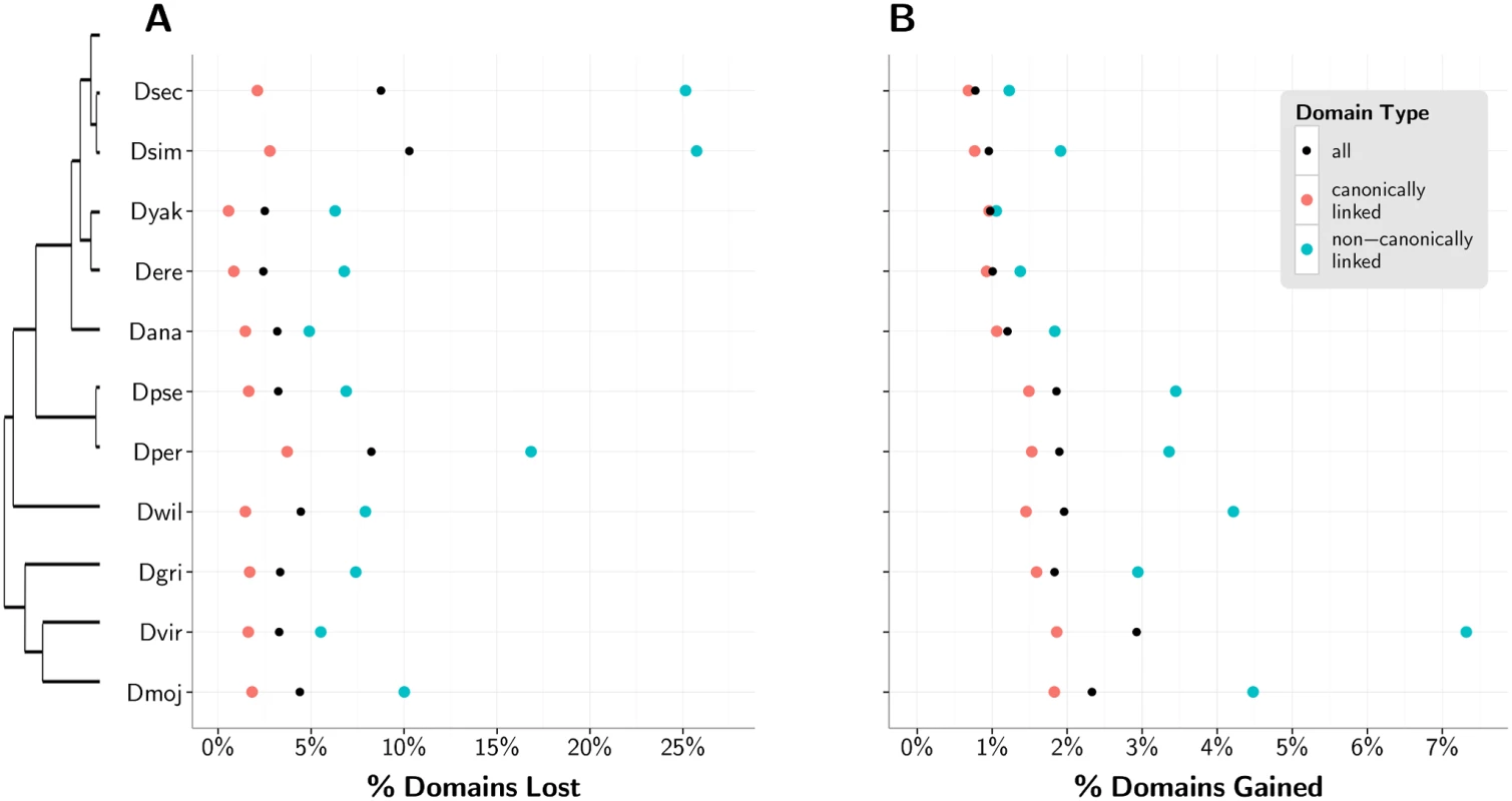 Loss and recruitment of C2H2-ZF domains with respect to <i>D. melanogaster</i> reference.