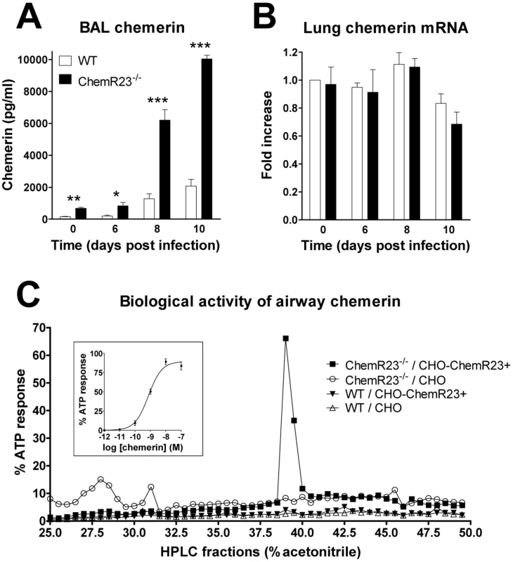 Increased chemerin levels in broncho-alveolar lavage fluid during PVM infection.