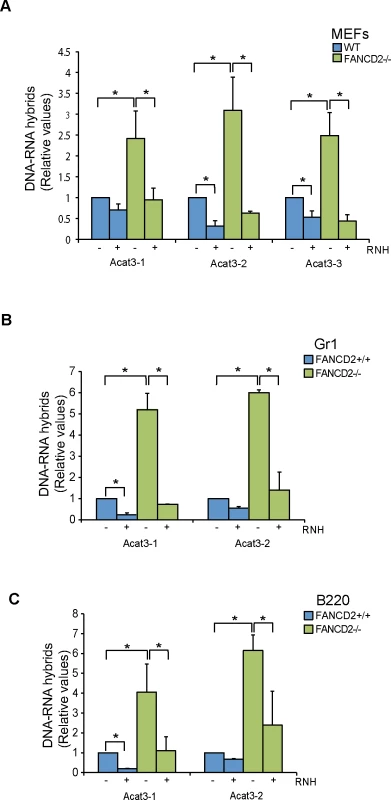 R loops in FANCD2-deficient murine cells.