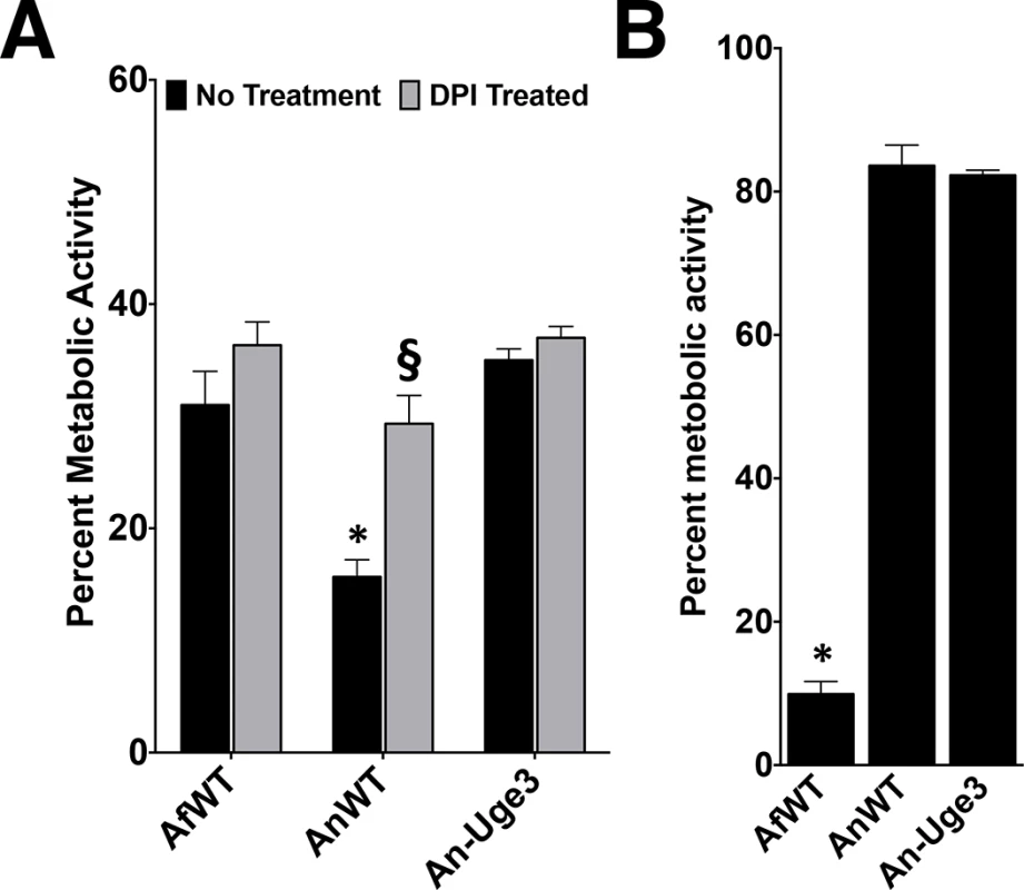 Increasing cell wall-associated GAG enhances the resistance of <i>A</i>. <i>nidulans</i> to NADPH oxidase-dependent neutrophil extracellular traps (NETs) but not reactive oxygen species.