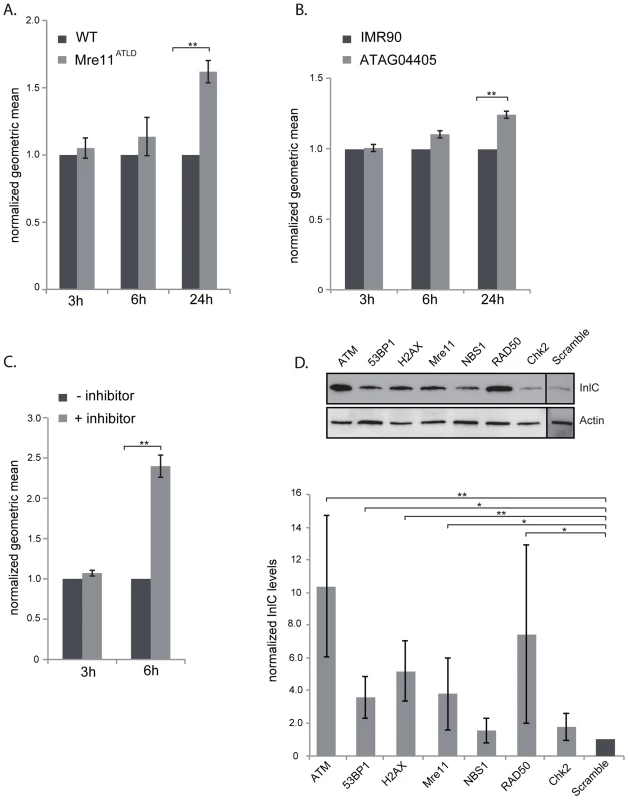 The DNA damage response is negative regulator of infection.