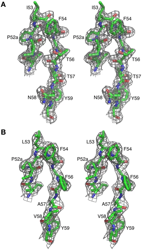 Representative <i>2F<sub>o</sub></i>-<i>F<sub>c</sub></i> electron density maps.