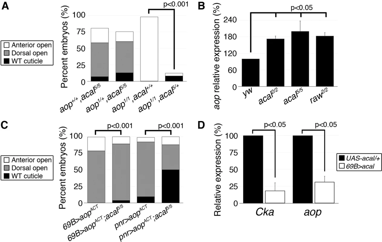 <i>acal</i> regulates <i>aop</i> expression.