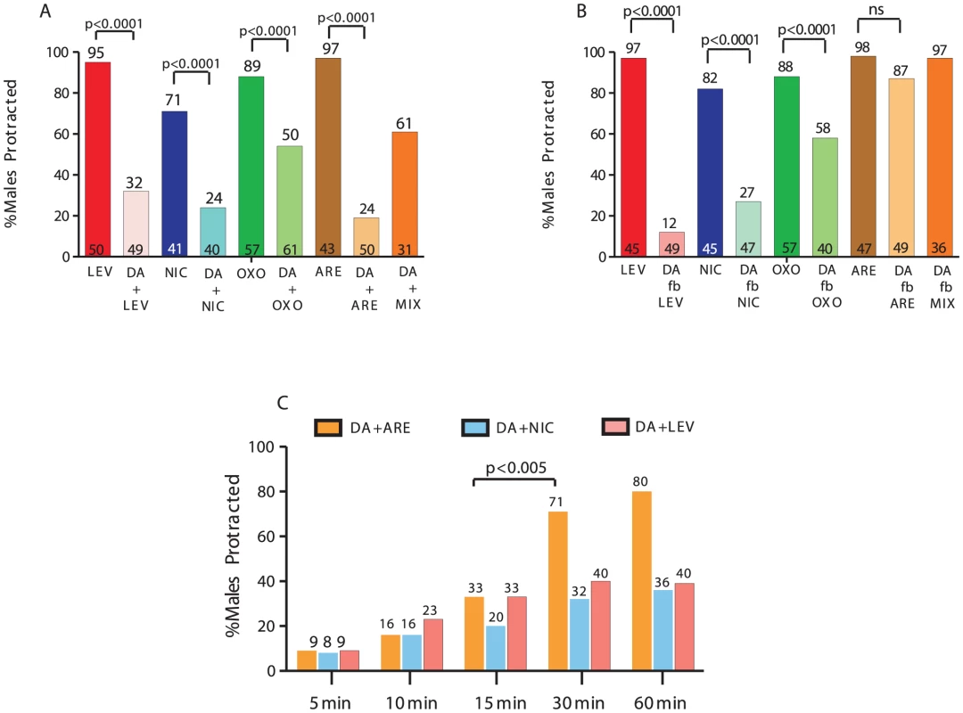 DA inhibits ACh-agonist-induced spicule protraction.