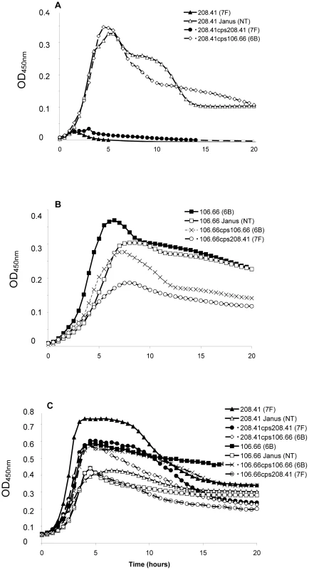 Growth patterns of strain 208.41 of serotype 7F and strain 106.66 of serotype 6B and their capsule switch mutants.