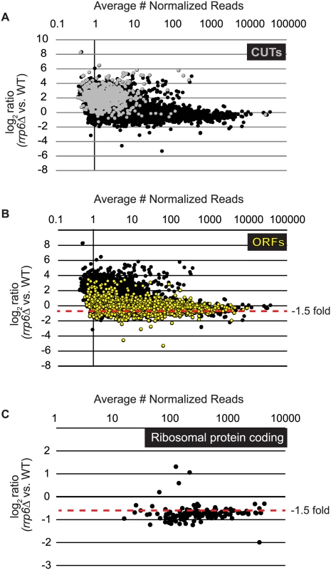 Expression plots for normalized RNA-SEQ data with specific classes of RNA transcripts highlighted.