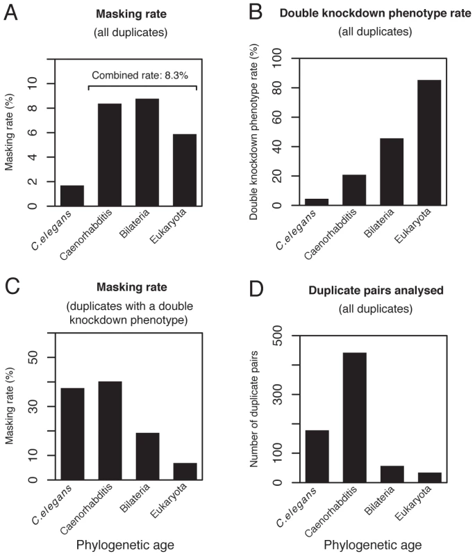 Phenotype masking and double knockdown phenotype rates grouped by phylogenetic age.
