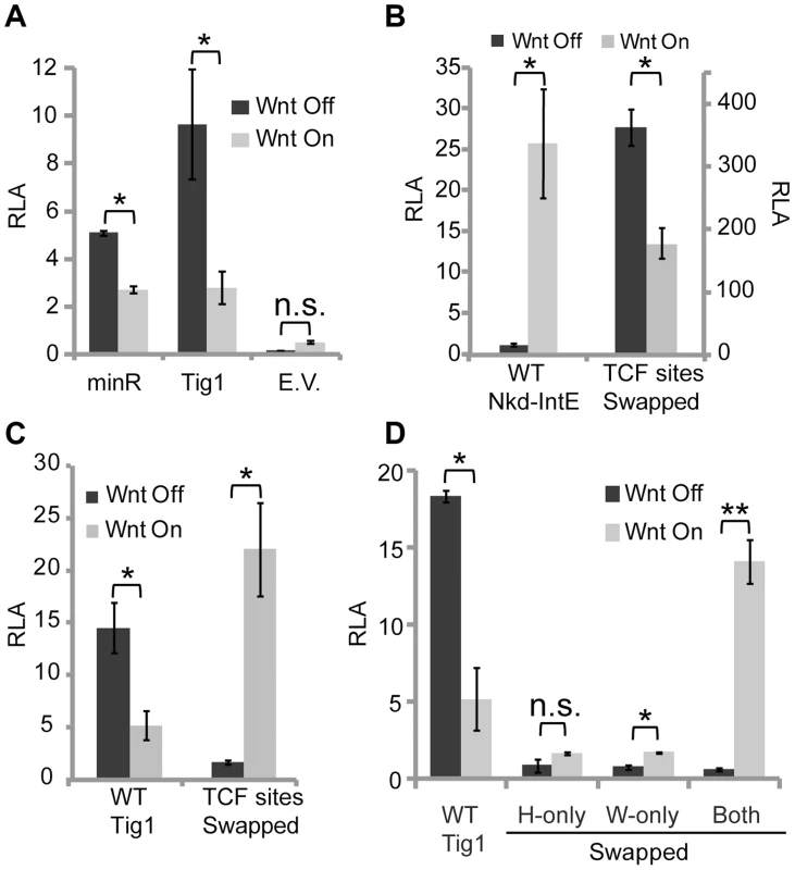 Swapping HMG and C-clamp binding sites switches the transcriptional output of W-CRMs.