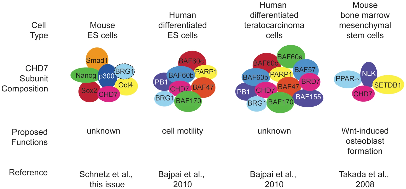 Cell type–specific DNA binding complexes containing CHD7.