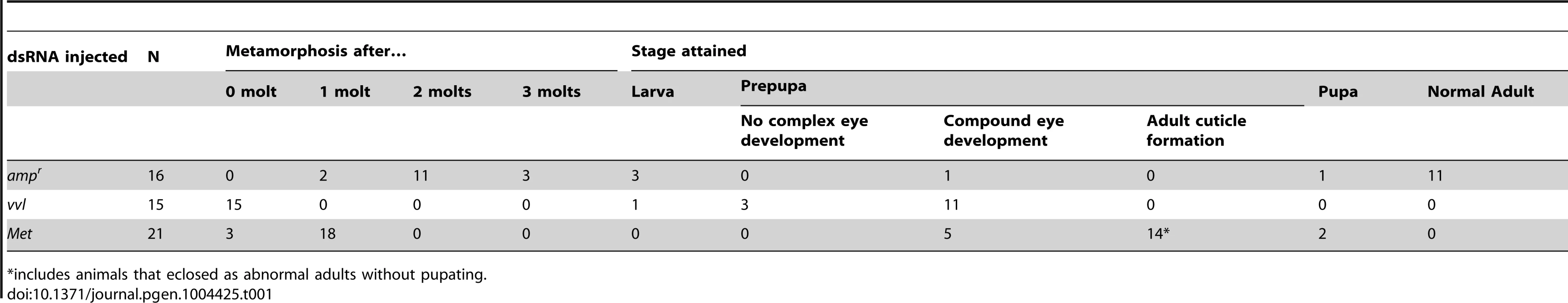 Phenotypic effects of dsRNA injection into fifth instar larvae.