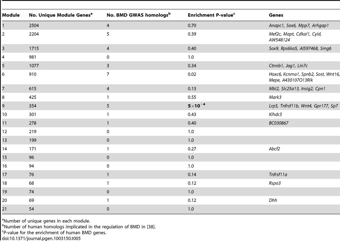 Module 9 is enriched in homologs of human genes implicated in the regulation of BMD through genome-wide association studies.