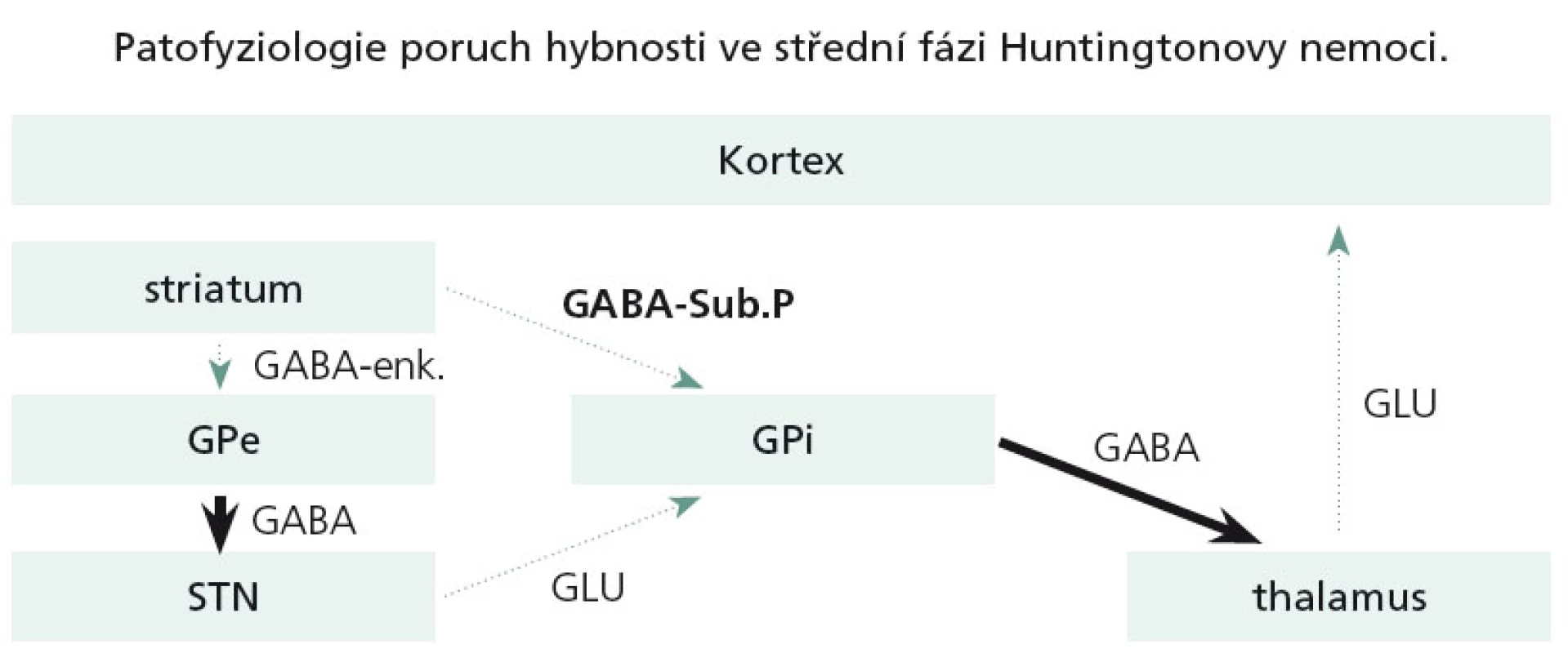 Postižení bazálních ganglií ve středních stadiích HN.